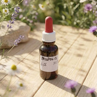 propolis-extrait-teinture-mere-maceration-bienfaits-complement-apiculteur-apiculture-occitanie-tarn-et-garonne-montauban-abeilles-ruches-apijo-oree-des-sens1