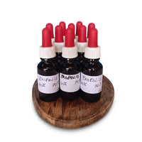 propolis-extrait-teinture-mere-maceration-bienfaits-complement-apiculteur-apiculture-occitanie-tarn-et-garonne-montauban-abeilles-ruches-apijo-oree-des-sens2