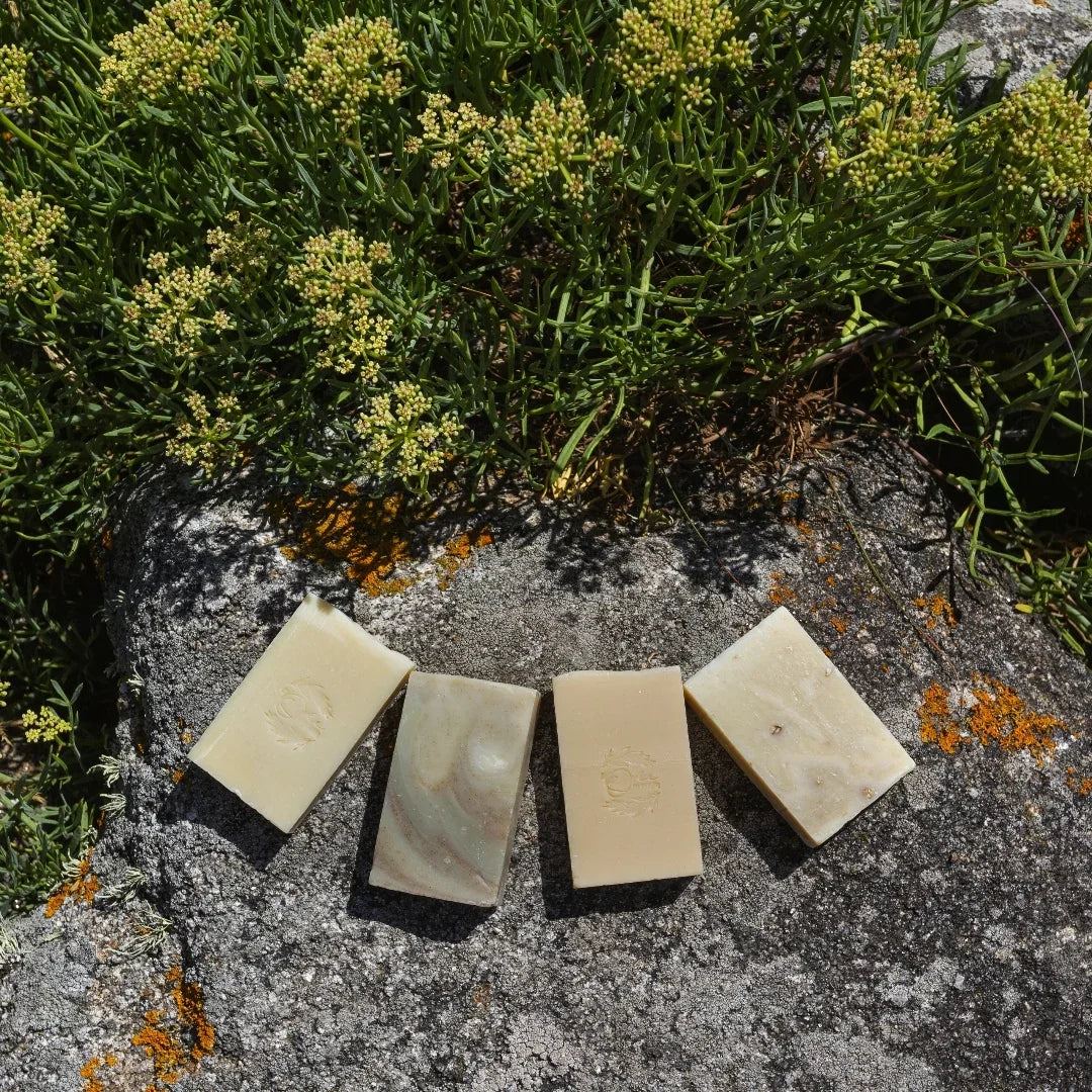 coffret savons solides naturels en saponification à froid