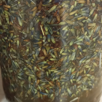 macerat-lavande-maceration-solaire-fleurs-plante-huile-bien-etre-peau-irritee-imperfection-cicatrisant-naturel-visage-corps-cheveux-made-in-france-francais4