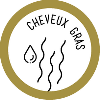 picto cheveux gras