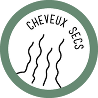 picto cheveux secs